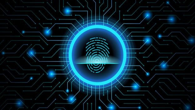 A Comprehensive Guide to IT Security in 2024