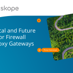 Historical and Future Roles for Firewall and Proxy Gateways